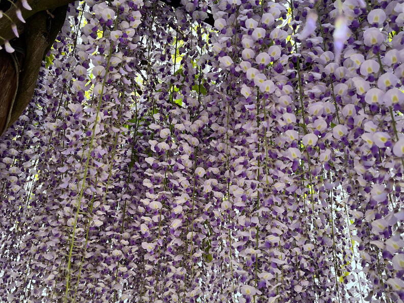 23-05-16 12-06-32 5395